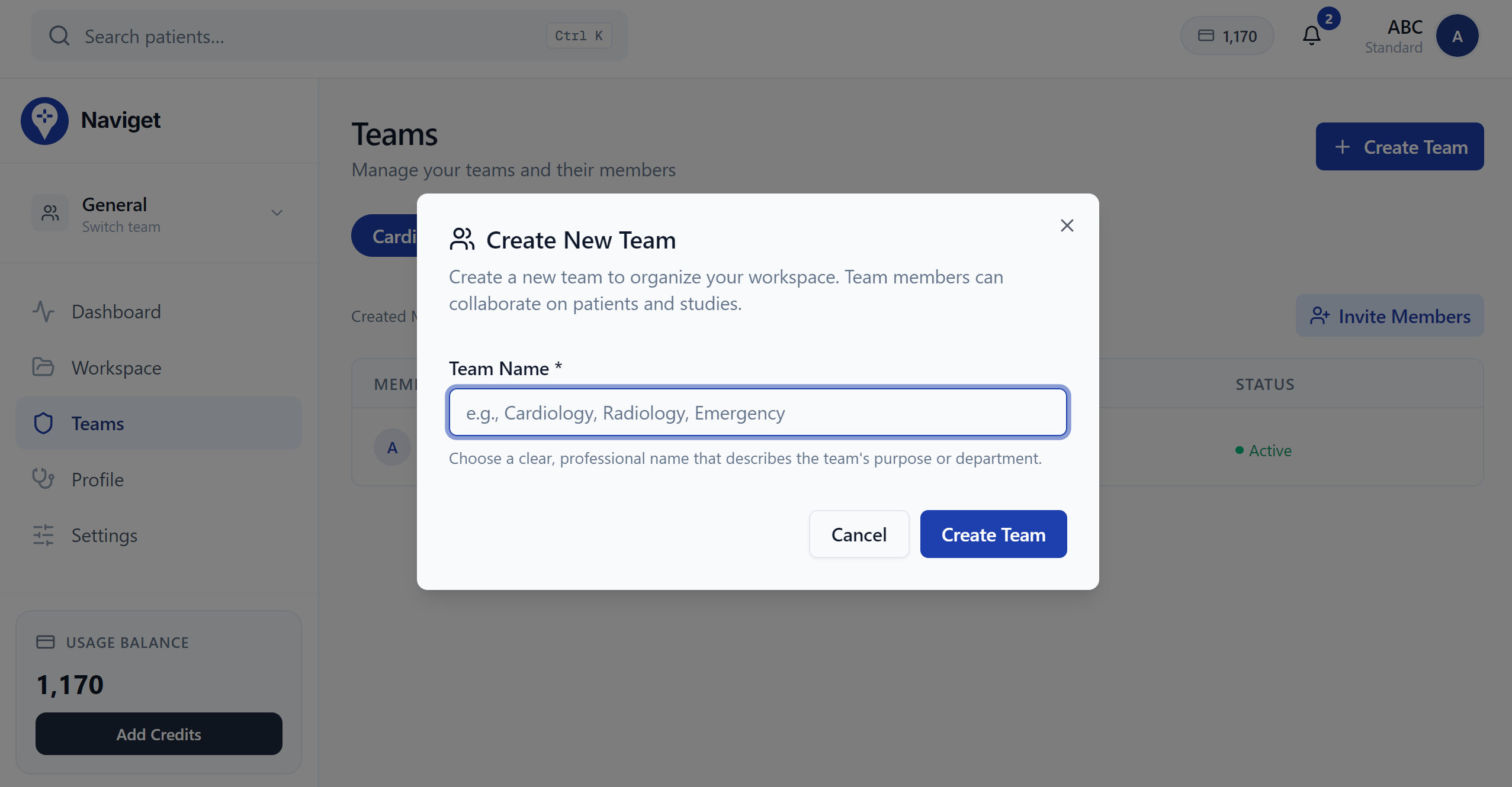 Team Management Interface